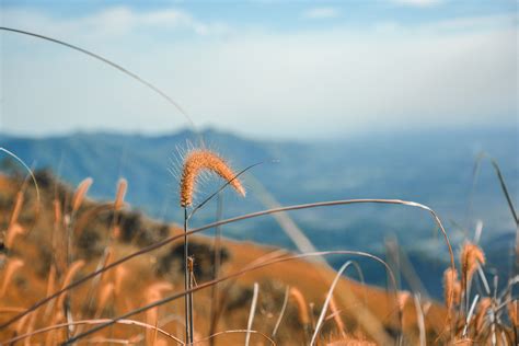 Mt. Balagbag, Rizal | Photography on Behance