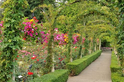 Claude Monet Garden Victoria Bc - Garden Design Ideas