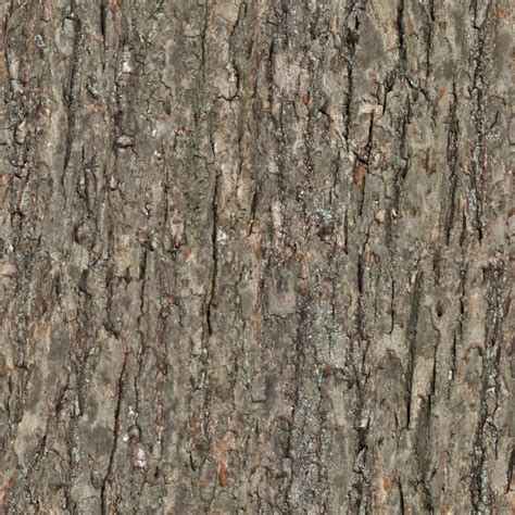 HIGH RESOLUTION TEXTURES: Wood tree bark seamless texture