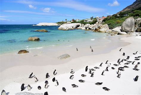 Cape Town South Africa Beaches