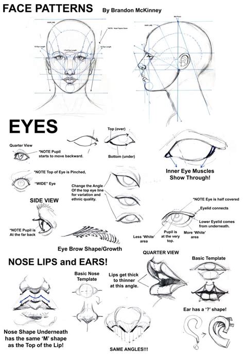 How to Draw A Face | Drawing people, Art tutorials, Drawings