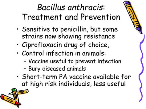 PPT - Bacillus PowerPoint Presentation, free download - ID:1143090