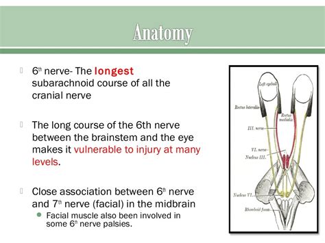 Sixth nerve palsy