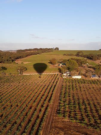 Barossa Valley Ballooning (Seppeltsfield): UPDATED 2019 All You Need to ...