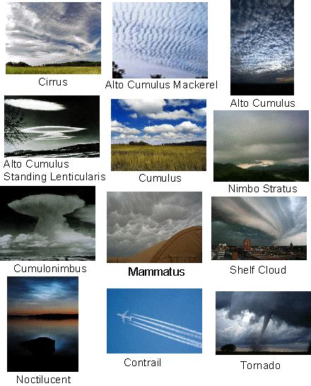 Different Types of Clouds - Understanding them with Examples