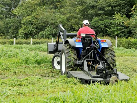 What is Bush Hogging? - Nelson Tractor Blog