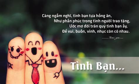 Khám Phá Những Câu Nói Hay Về Tình Bạn Đầy Ý Nghĩa | TIKI