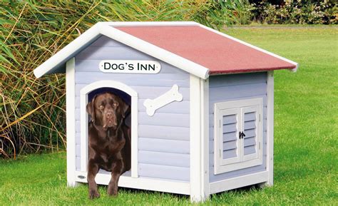 Cool Dog Houses Designs