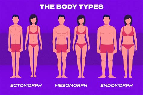 3 Main Male Body Types & How to Tell Them Apart (2022)