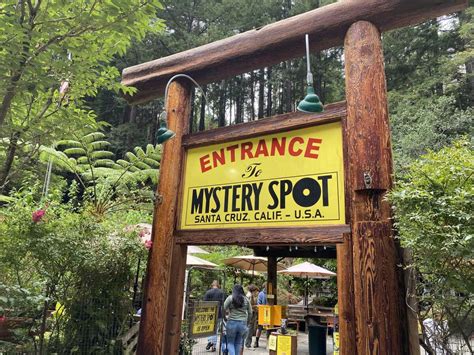 The iconic but baffling Santa Cruz Mystery Spot is more than just a ...