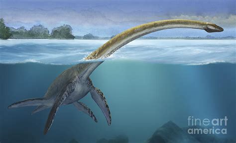 A Elasmosaurus Platyurus Swims Freely Digital Art by Sergey Krasovskiy ...