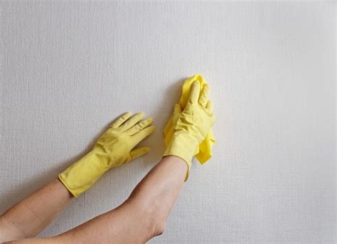 How To Clean Painted Walls Without Stripping The Paint | EarlyExperts