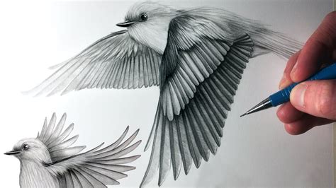 Realistic Bird Drawing at GetDrawings | Free download