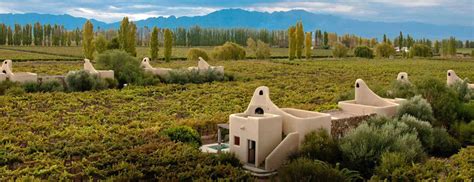 Lujan de Cuyo Wine Tour | Wow Argentina