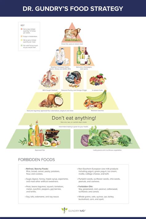 Dr Gundry Recipes Plant Paradox - Simply Recipes