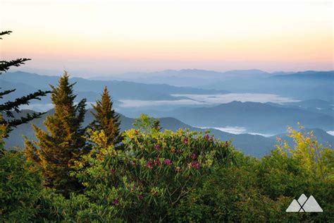 Great Smoky Mountains National Park: road trip worthy hikes - Atlanta ...