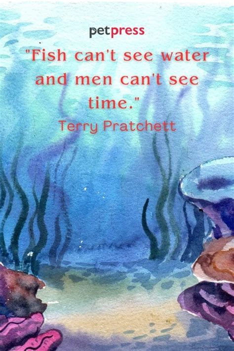 Catch the Best: 75 Must-Read Fish in the Sea Quotes - PetPress