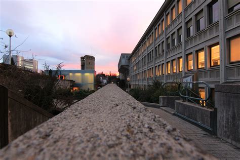 Universität Miséricorde | Freiburg Stadt