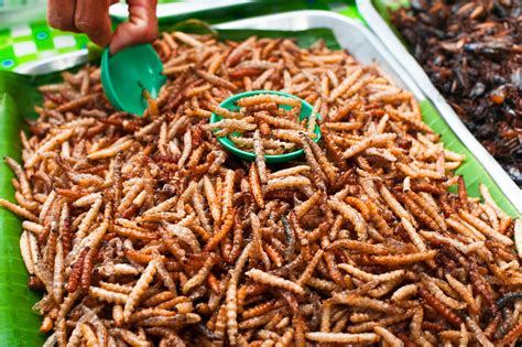 Bugs Feeding the World: 12 Companies Selling Edible Insects