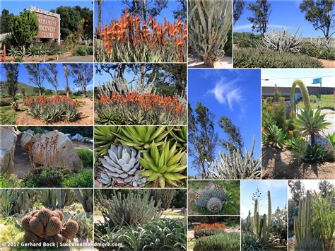 Whirlwind trip to the Southern California desert--Palm Springs and beyond