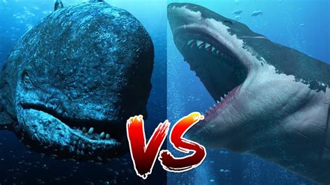 Megalodon VS Livyatan | Who Would Win?? - YouTube