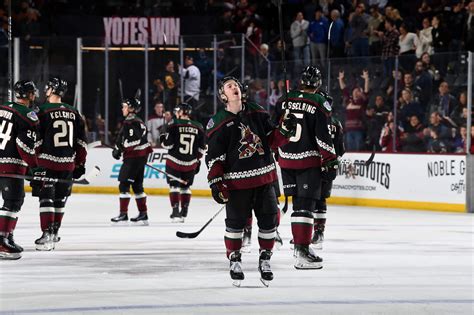 Arizona Coyotes: Winning Streak, New Talent, and Arena Solutions - BVM ...