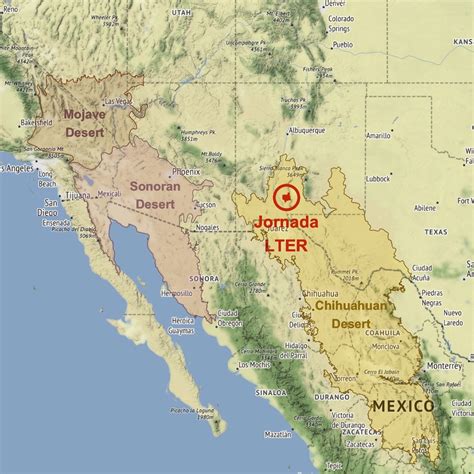 Jornada Basin LTER – Long Term Ecological Research in the Chihuahuan Desert