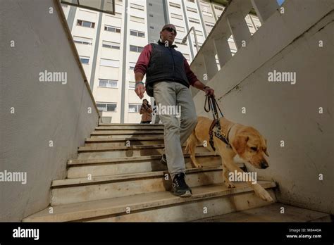 Blind person with guide dog Stock Photo - Alamy