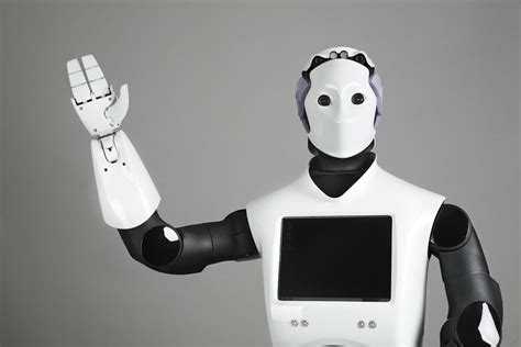 Humanoid Robots 2017: Present and Future Applications