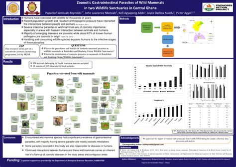 (PDF) Zoonotic Gastrointestinal Parasites of Wild Mammals in two ...