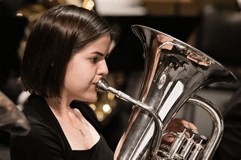 Euphonium Vs Baritone – What Are the Differences? - Musical Instrument Pro