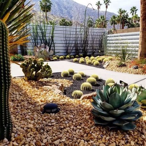 Transform Your Space with Creative Desert Landscaping Designs