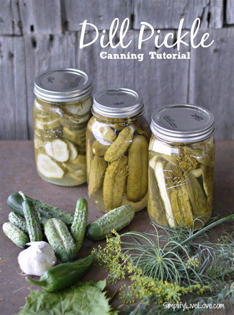 Dill Pickles Canning Tutorial + Grandma's Secret Recipe | Simplify Live ...