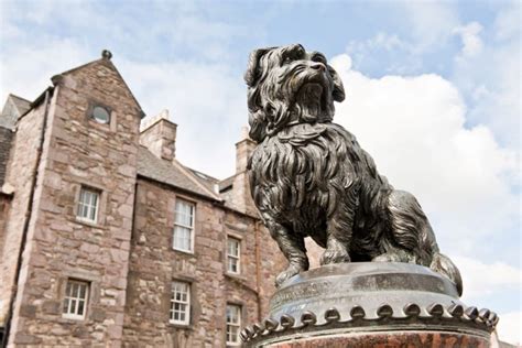 Greyfriars Bobby’s legacy honoured by Edinburgh Kirk and council ...