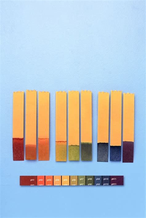 Phenolphthalein Indicator Solution