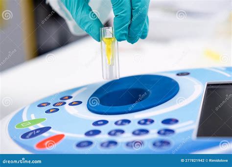 Put the Cuvette into the Spectrophotometer. DNA and Microbiological ...