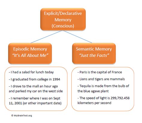 Episodic and Semantic Memory Examples - MemoryHealthCheck