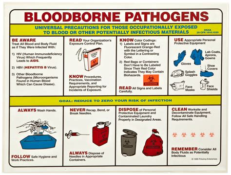 Printable Bloodborne Pathogens Poster - Printable Word Searches