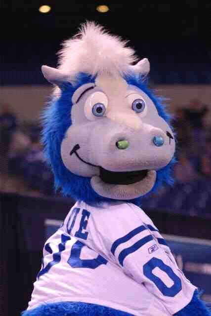 Blue, Colts mascots. Best mascot ever! Our whole family loves him ...