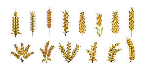 Wheat Element Set 964064 Vector Art at Vecteezy