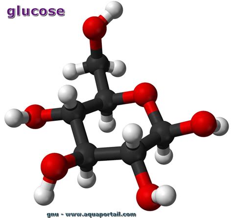 40 3D GALACTOSE MOLECULE STRUCTURE - StructureofGalactose3