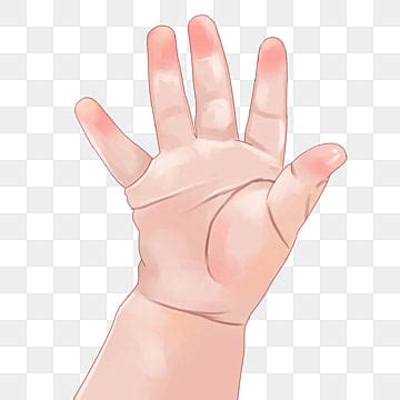 Baby Hands PNG, Vector, PSD, and Clipart With Transparent Background ...