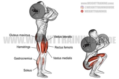 Front Squats vs Back Squats: What are the Differences? - SET FOR SET