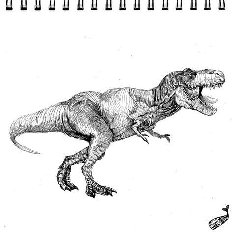 T Rex Sketch Of Dinosaur | PeepsBurgh.Com