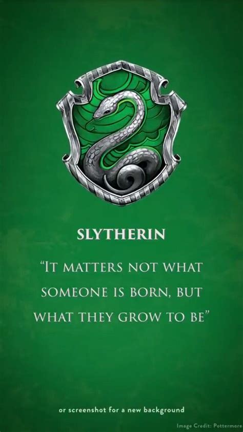 my house. slytherin pride ️ | Slytherin harry potter, Slytherin, Harry ...