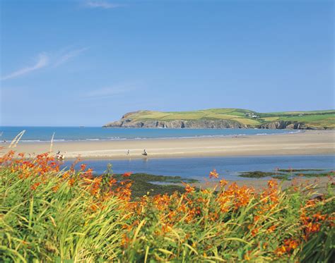 Explore Cardigan Bay Beaches - Brongwyn Holidays