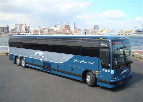 Greyhound Bus Reviews 2024 - Trudi Hyacinth