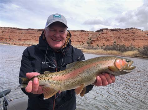 Guided fly fishing trips North Platte River Wyoming - Trout Trickers ...