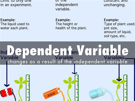 Independent Variable