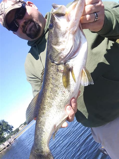 Harris Chain of Lakes – Florida bass charter